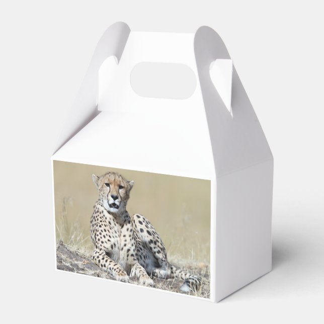 Cheetah Favor Boxes (Back Side)