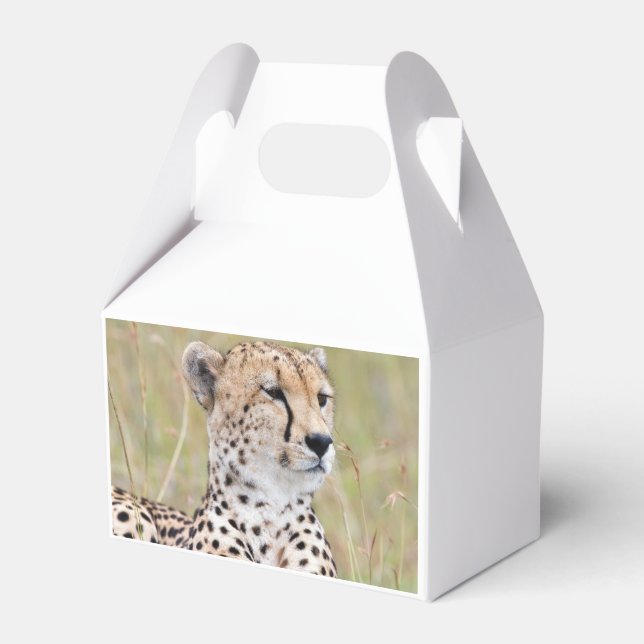 Cheetah Favor Boxes (Back Side)