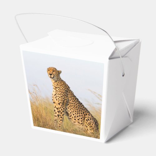 Cheetah Favor Boxes