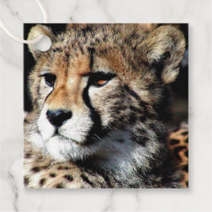Cheetah Favor Tags