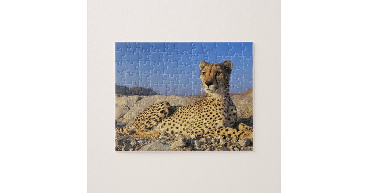 cheetah cat mouse puzzle