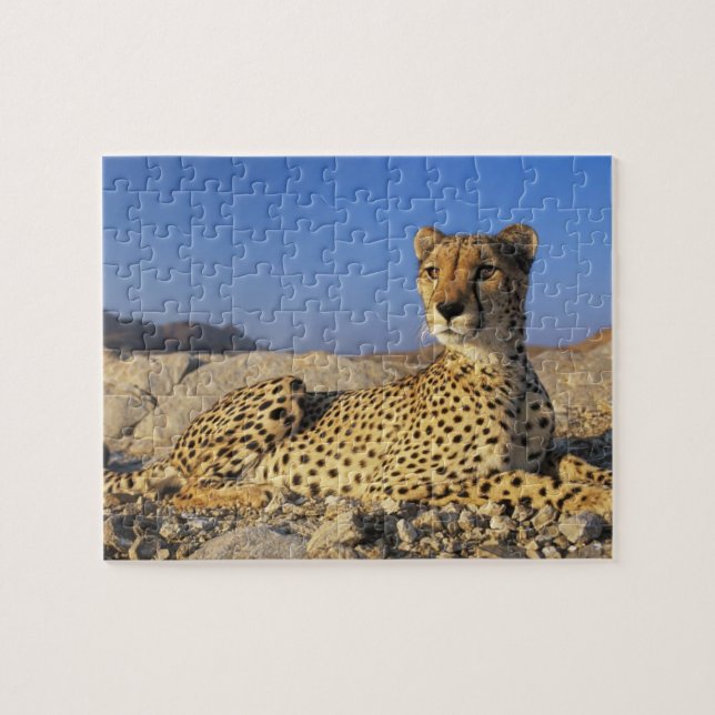 Cheetah Game Puzzle (Horizontal)
