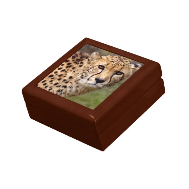 Cheetah Gift Box (Side)