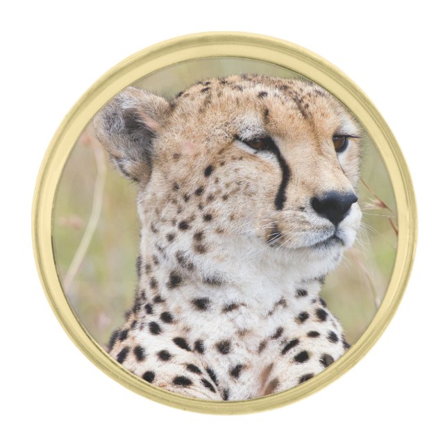 Cheetah Gold Finish Lapel Pin (Front)