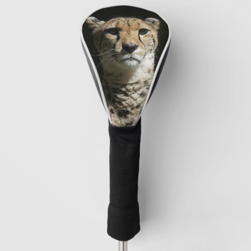 Cheetah Golf Head Cover