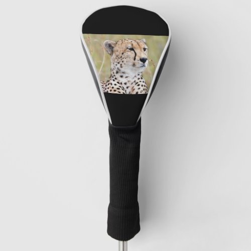 Cheetah Golf Head Cover