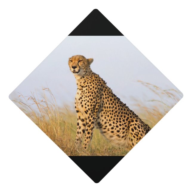 Cheetah Graduation Cap Topper (Front)