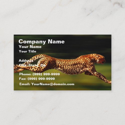 Cheetah Hunting His Prey Business Card