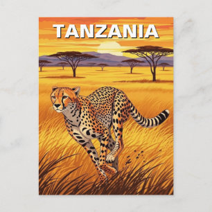 Cheetah in Serengeti National Park Tanzania Postcard