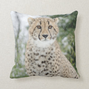 Cheetah in Snow Throw Pillow