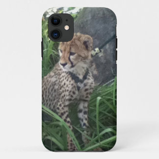 Cheetah iPhone case