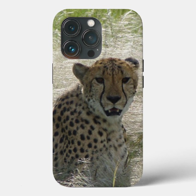 Cheetah iPhone / iPad case (Back)