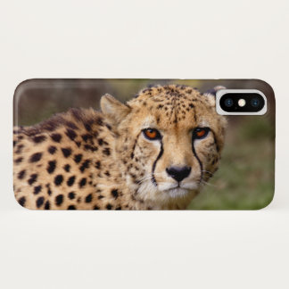 Cheetah iPhone X Case