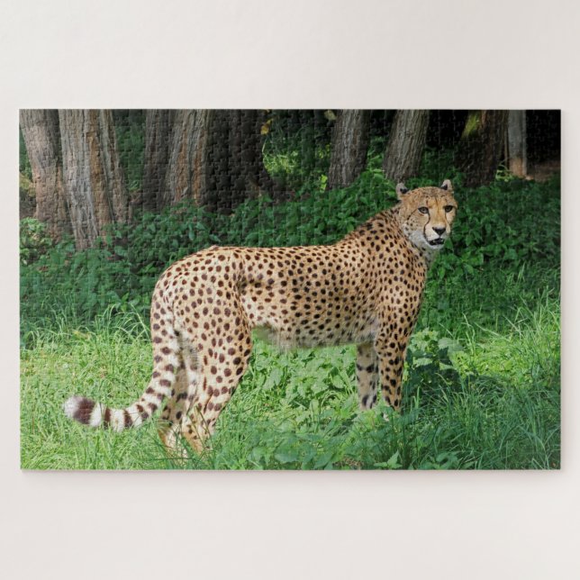 Cheetah Jigsaw Puzzle (Horizontal)