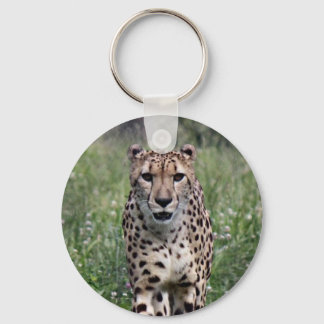 Cheetah key chain