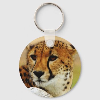 Cheetah Keychain by pixelholic at Zazzle