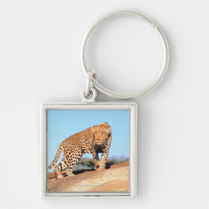 Cheetah Keychain