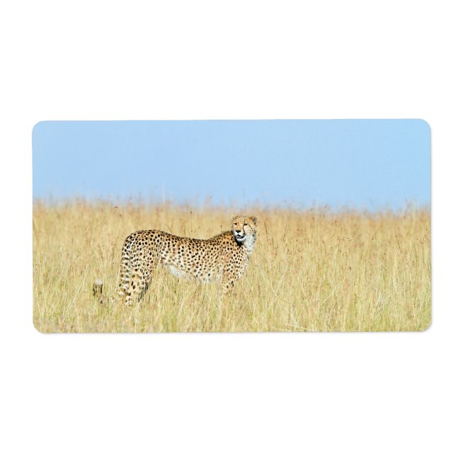 Cheetah Label (Front)