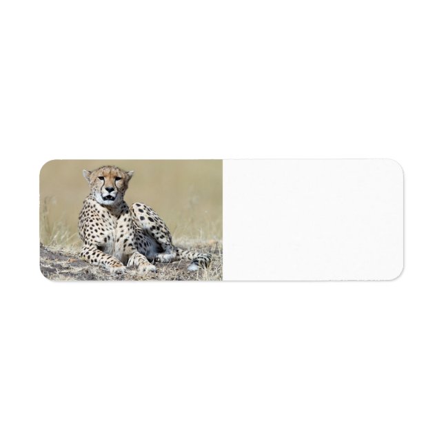 Cheetah Label (Front)
