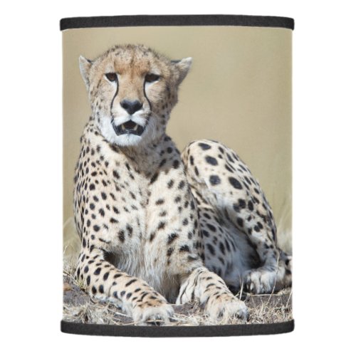 Cheetah Lamp Shade