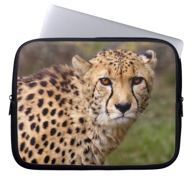 Cheetah Laptop Sleeve (Front)