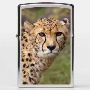Cheetah Lighter