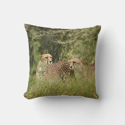 Cheetah Lion Pillow