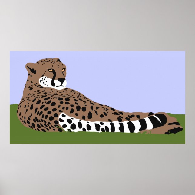 cheetah looking and down poster (Front)