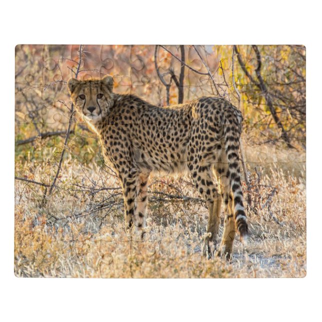 Cheetah Looking Around Jigsaw Puzzle (Puzzle Horizontal)