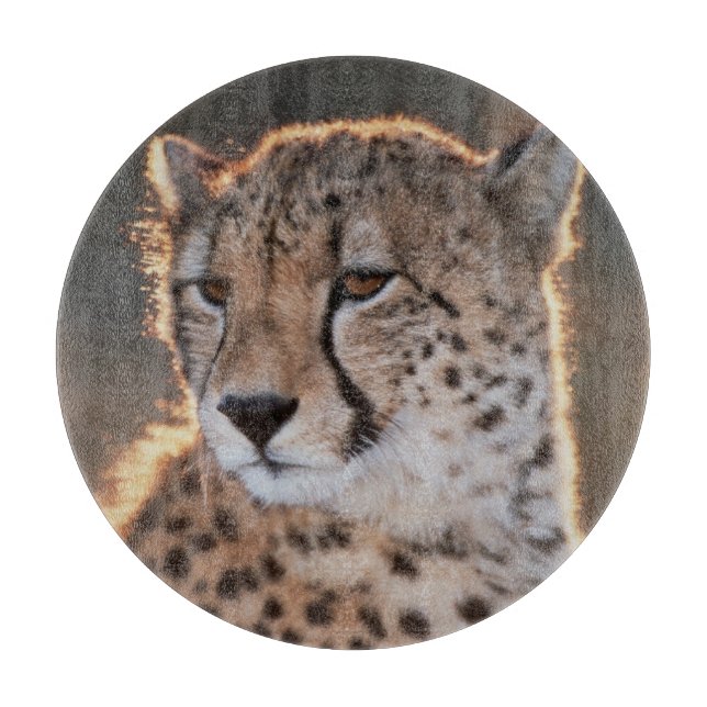 Cheetah looking away cutting board (Front)