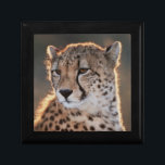 Cheetah looking away jewelry box<br><div class="desc">Amos Nachoum / DanitaDelimont.com | Africa,  South Africa | South Africa,  Cheetah looking away</div>