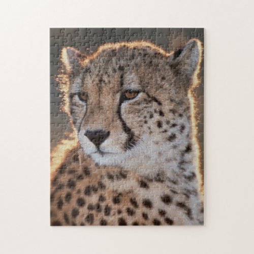 Cheetah looking away jigsaw puzzle