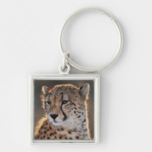 Cheetah looking away keychain