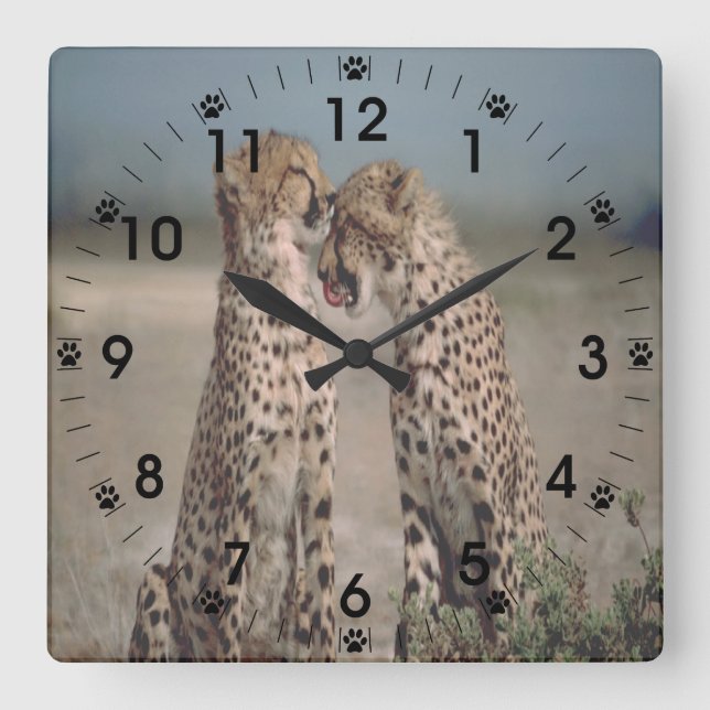 Cheetah Love Square Wall Clock (Front)