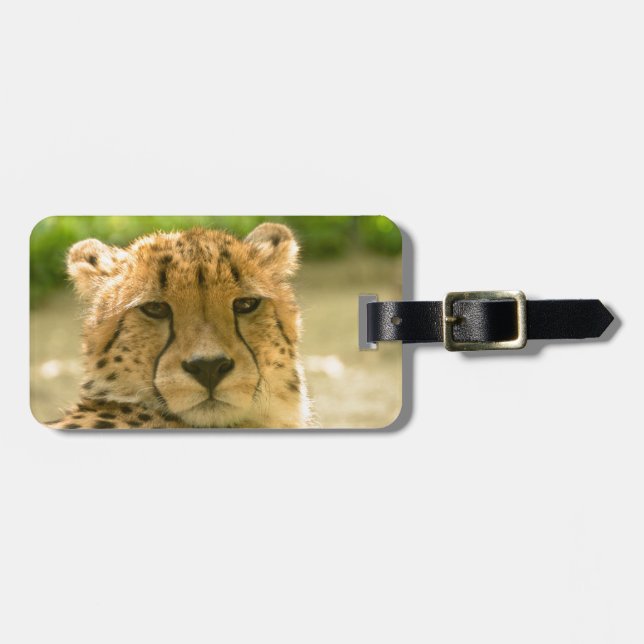 Cheetah Luggage Tag (Front Horizontal)