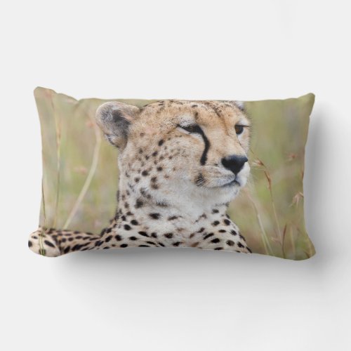 Cheetah Lumbar Pillow