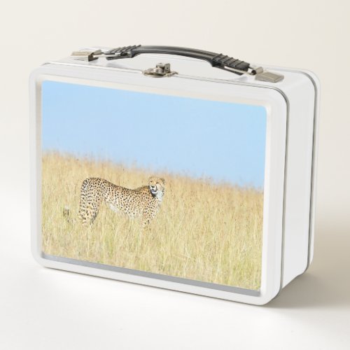 Cheetah Metal Lunch Box