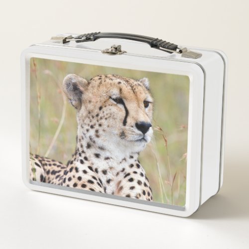 Cheetah Metal Lunch Box