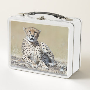 Cheetah Metal Lunch Box
