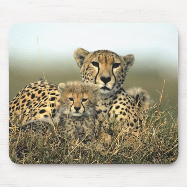 Cheetah Mom and Cub Mousepad (Front)