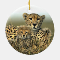 https://rlv.zcache.com/cheetah_mom_and_cub_ornament-r40b4474e59654feabaa60bcb9bd29859_x7sjo_8byvr_200.jpg