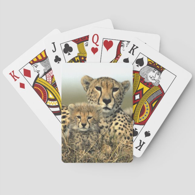 Cheetah Mom and Cub Poker Cards (Back)