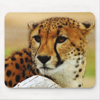 Cheetah Mouse Pad