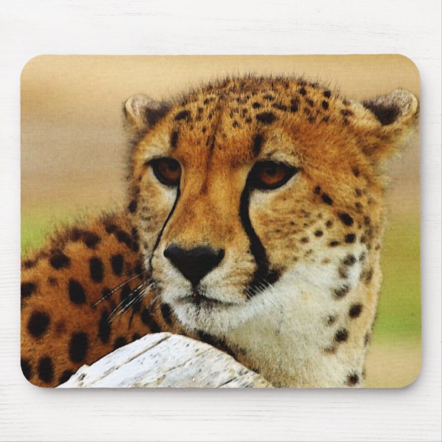 Cheetah Mouse Pad (Front)