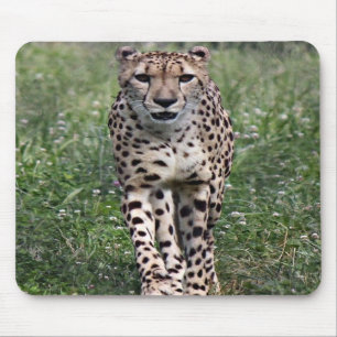 Cheetah mouse pad