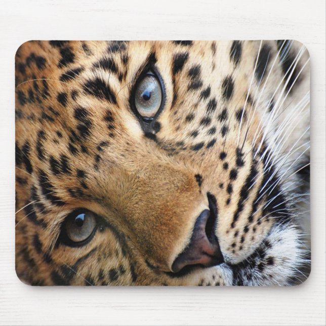 Cheetah Mouse Pad (Front)
