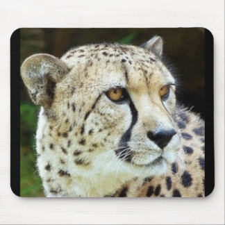cheetah mouse pad