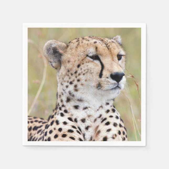 Cheetah Napkins (Front)