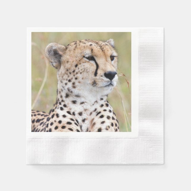 Cheetah Napkins (Front)