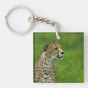 Cheetah On A Lookout Keychain